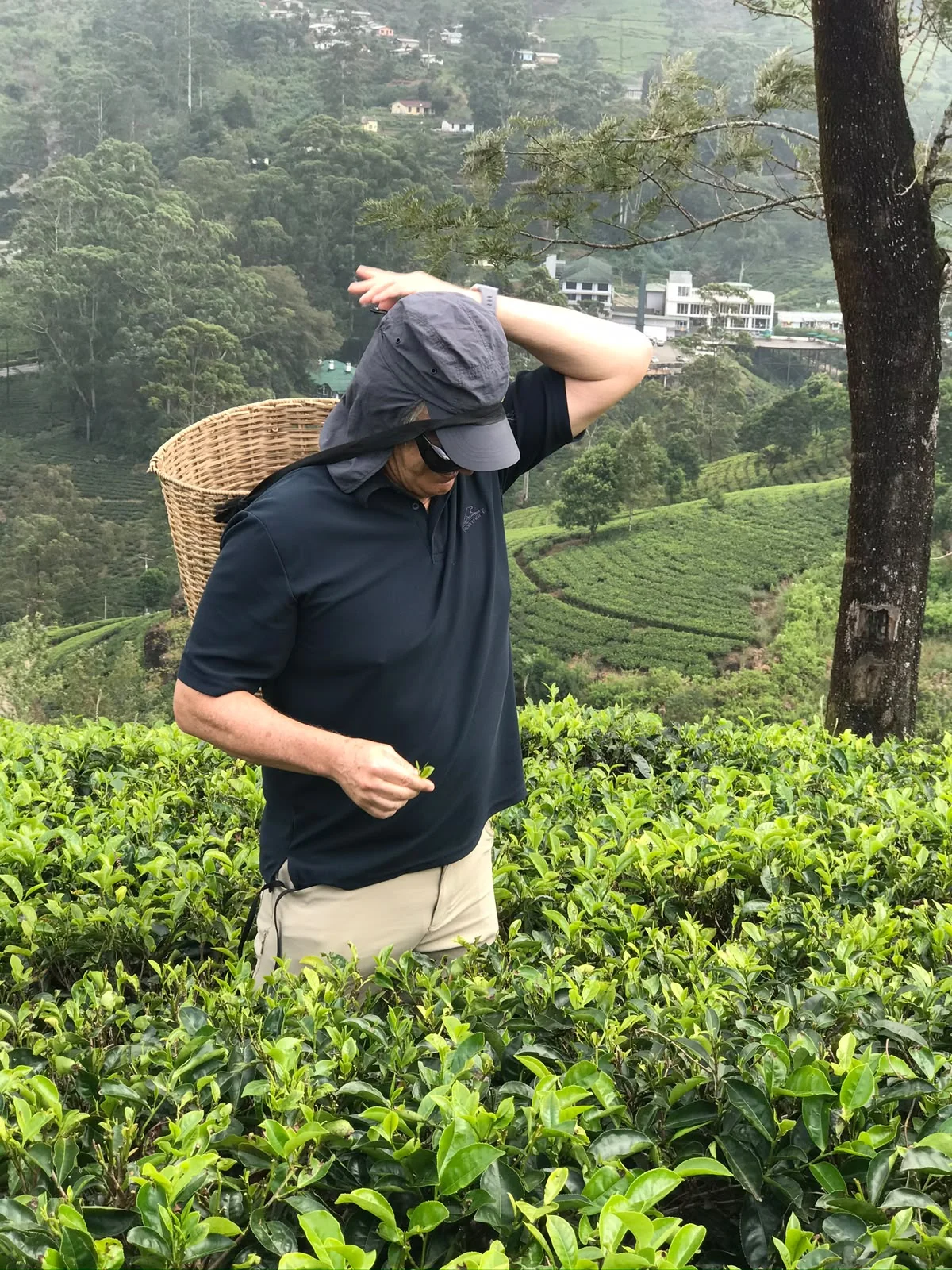 Ceylon Tea Country Hatton & Ella