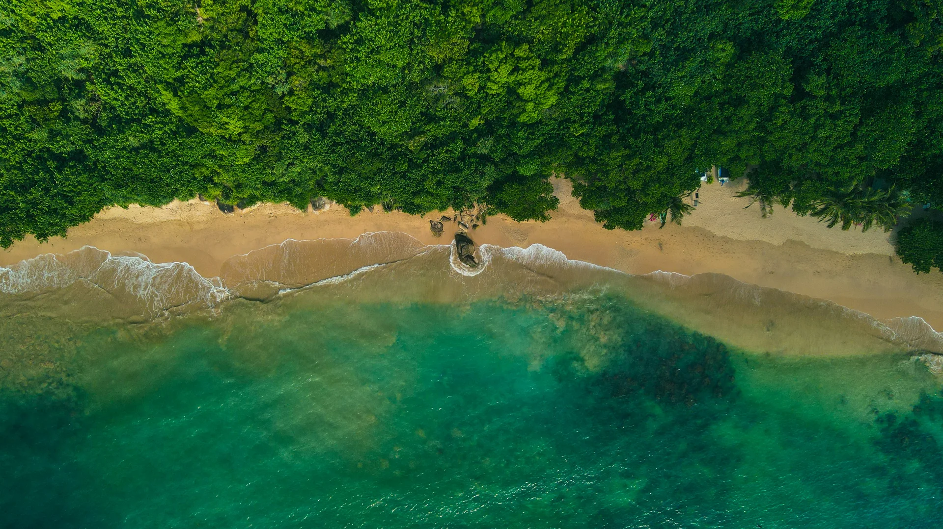 Bespoke Travel Planning Sri Lanka